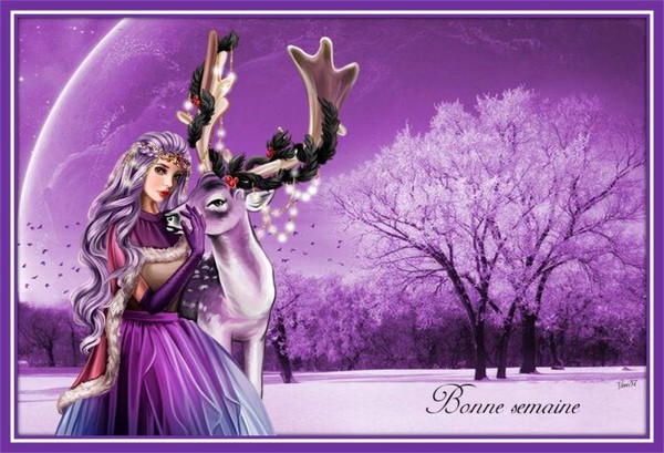 Bonne semaine mes visiteurs et amis(e)