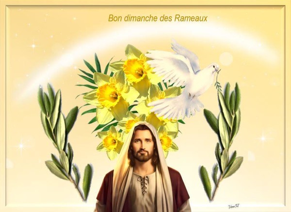 Bon Dimanche Des Rameaux