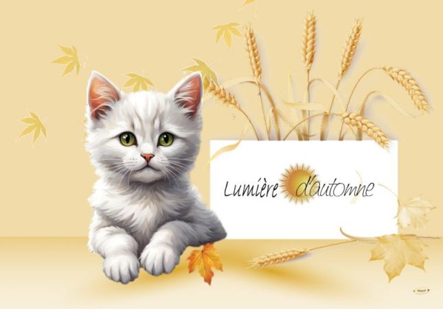 chat_automne