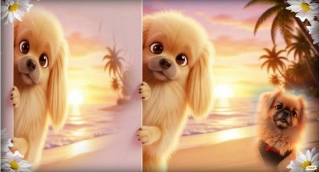 pas_a_pas_chien_1